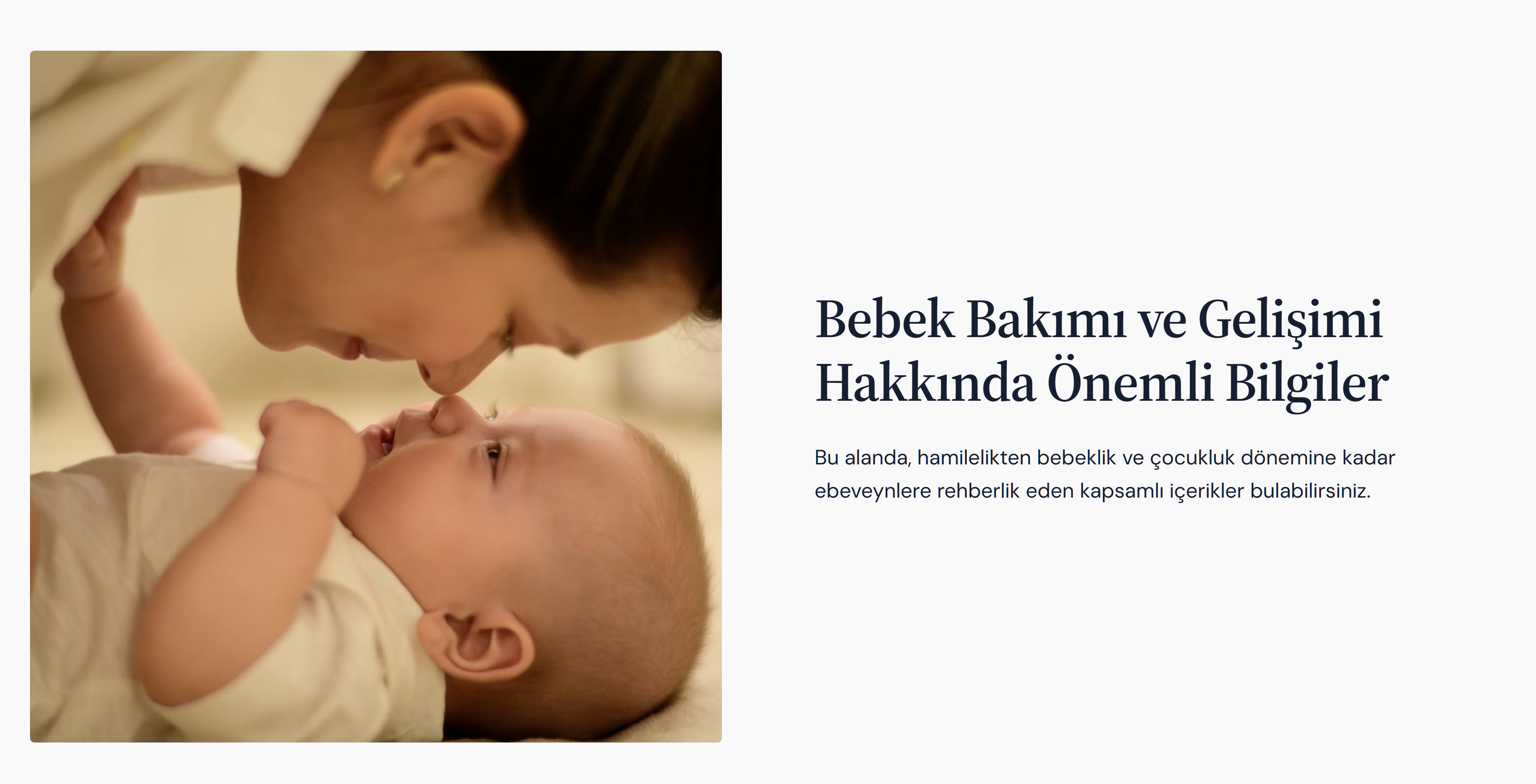 Bebek Rehberim